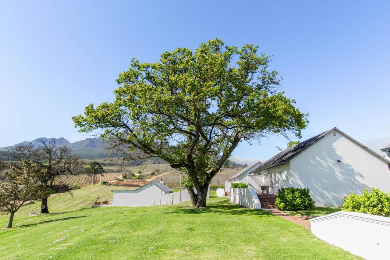 Webersburg Hotel Stellenbosch Ngoại thất bức ảnh